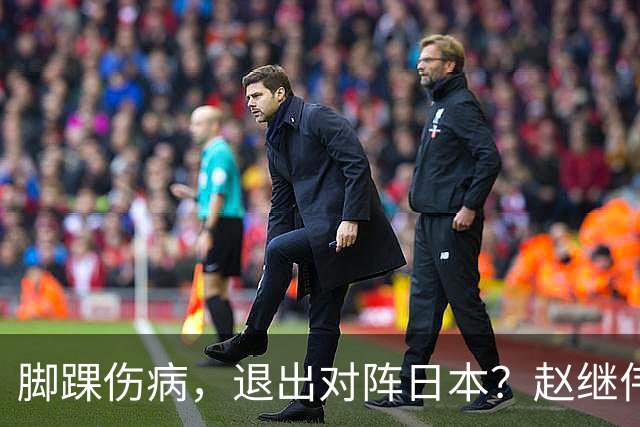 脚踝伤病，退出对阵日本？赵继伟官宣，男篮公布名单，庞峥麟入选